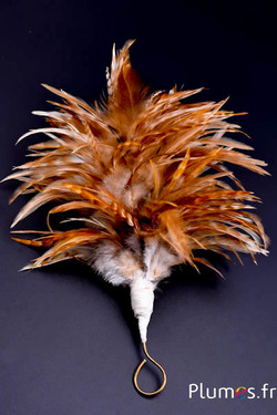 Plumet coq  avec anneau -  hauteur 20 cm - naturel